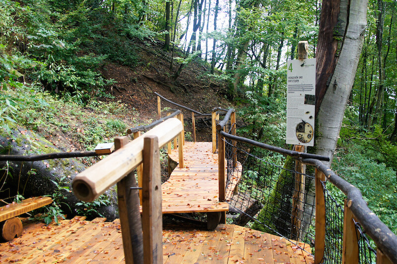 Naturwaldpfad Schönberg